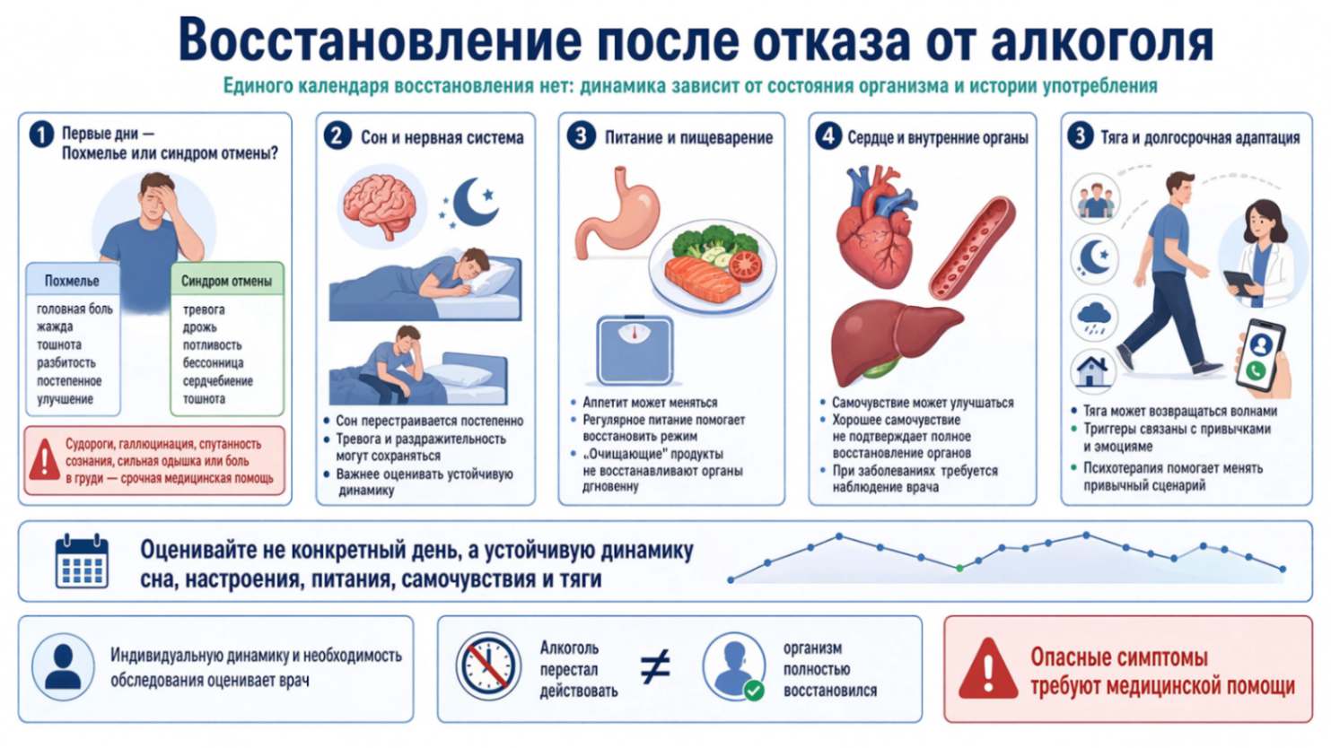 Восстановление после отказа от алкоголя без точного календаря по дням: сон, нервная система, питание, сердце, печень и тяга